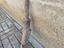 Immagine 1