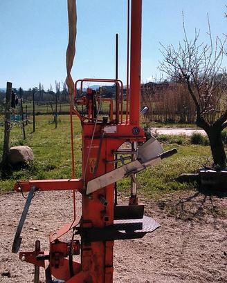 taglia e spacca legna giardino 