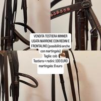 TESTIERA EQUITAZIONE WINNER 