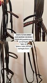 TESTIERA EQUITAZIONE WINNER 