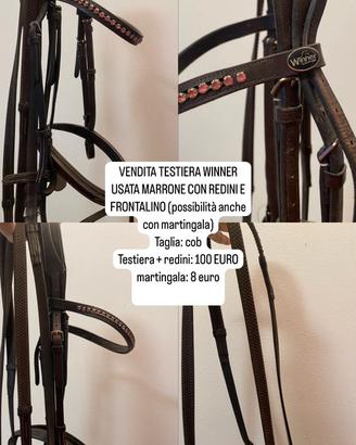 TESTIERA EQUITAZIONE WINNER 
