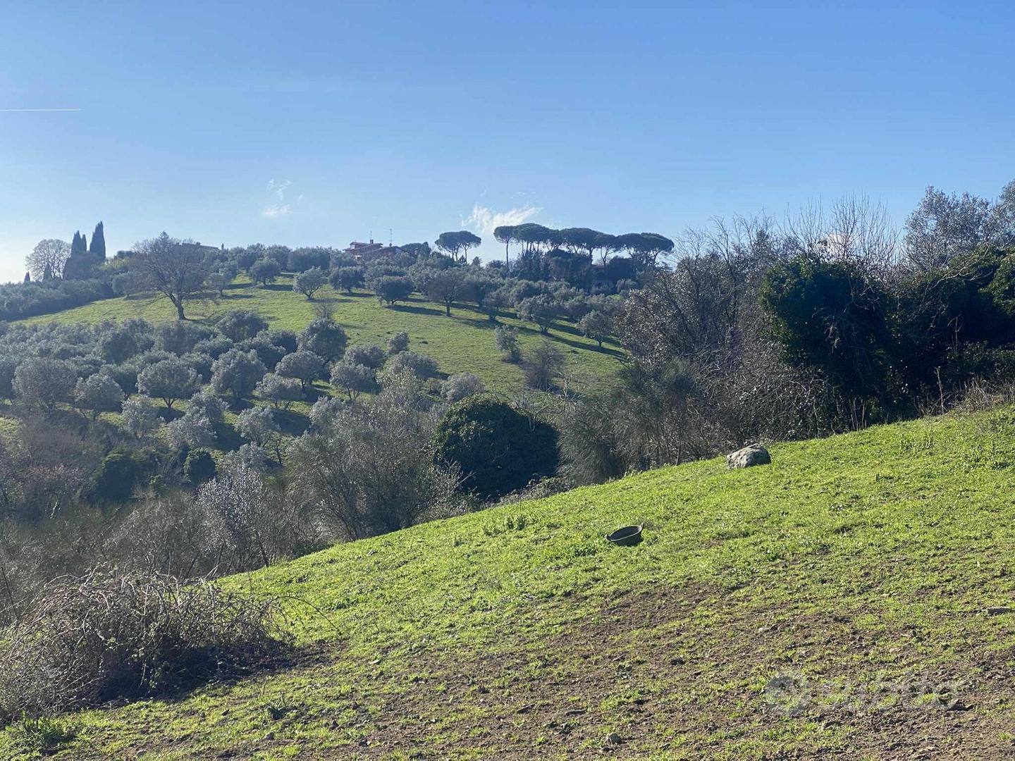 Terreno Via della Mola, Monte Rocchette, Sacrofano - Vista 2