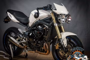 Triumph Street Triple 675 (2009) - Perfetta