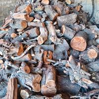 legna per pizzeria e stufa