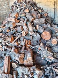 legna per pizzeria e stufa