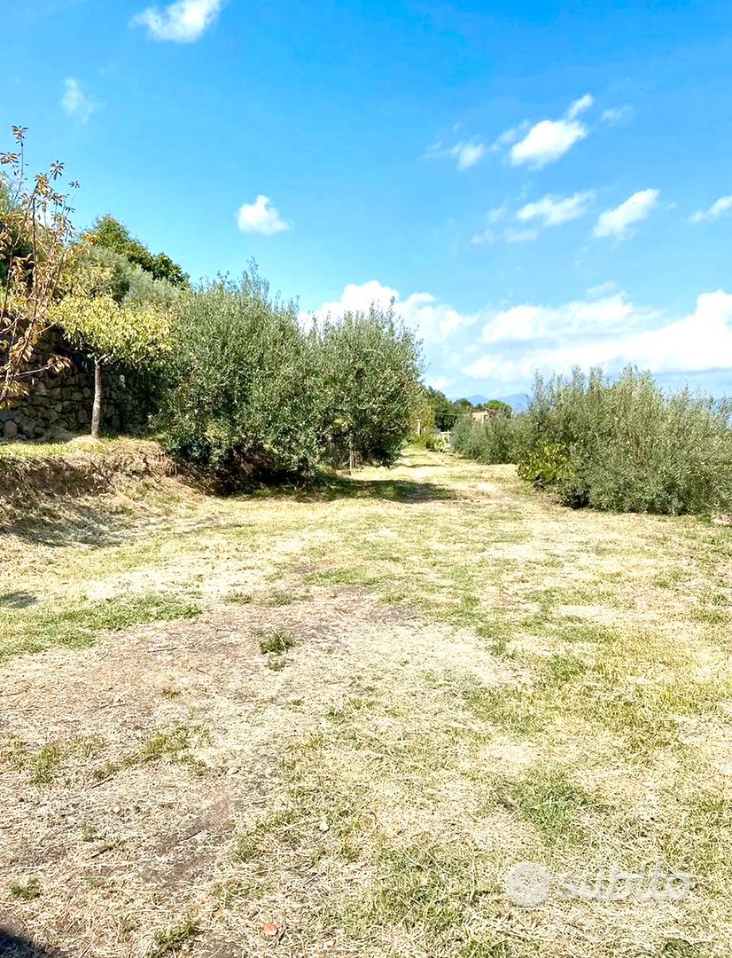 Casetta di campagna Panoramica - Vista 4