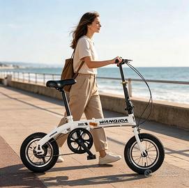 Bicicletta pieghevole