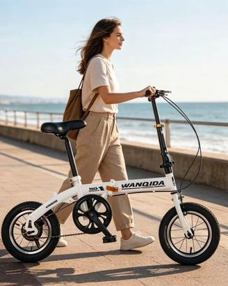 Bicicletta pieghevole