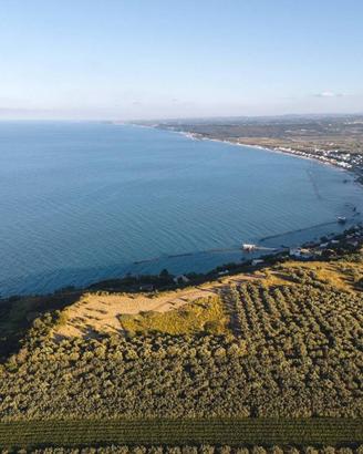 Terreno di 18575 m² a Rocca San Giovanni
