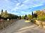 Immagine 29