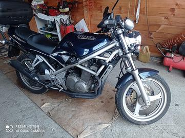Suzuki bandit