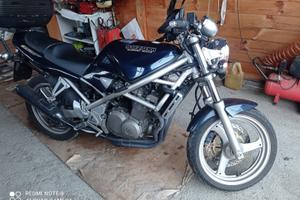 Suzuki bandit