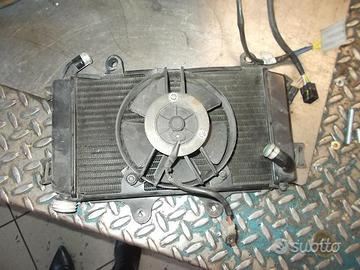 Duke 125 : farfallato carter testa campana