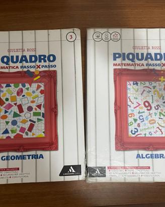 Piquadro Geometria Algebra 3 media (spedisco)