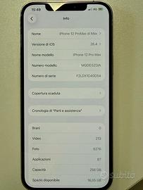 iPhone 12 pro max 256gb