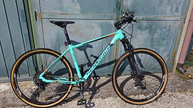 Megamo Natural 29" + RockShox Judy