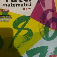 Libri matematica