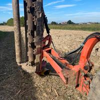 Trincia erba argini maschio