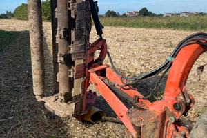 Trincia erba argini maschio