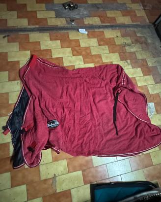 accappatoio cavsllo 125