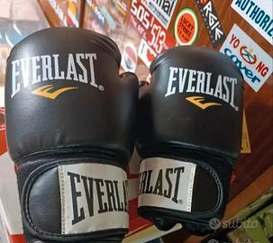 Guantoni da boxe Everlast 