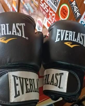 Guantoni da boxe Everlast 