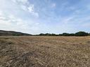 rif-10902tg98749-terreno-agricolo-carbonia