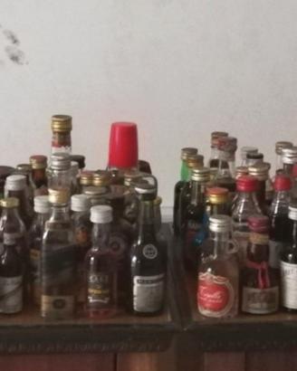 Bottiglie whisky, grappa e liquori mignon