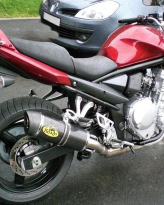 Special Carbon Roadsitalia Suzuki GSF Bandit 650