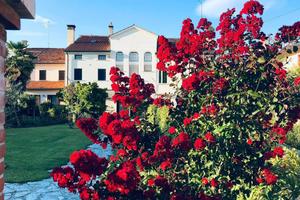 Monolocale a Villorba