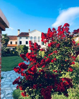 Monolocale a Villorba