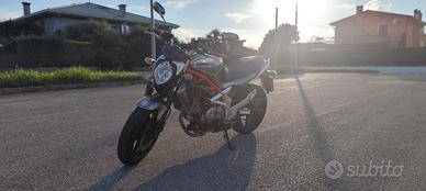 Suzuki SFV Gladius 650
