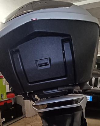 Baule SH 125/150 ultima versione