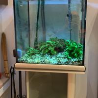 Acquario 100 litri