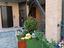 Immagine 12