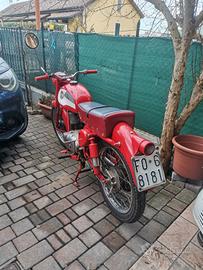 gilera giubileo 
