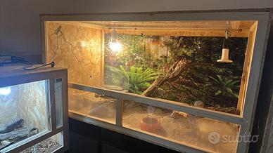 Terrari vari