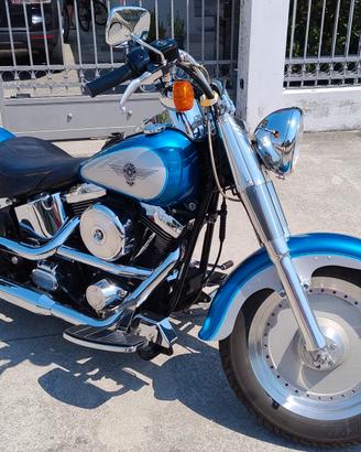 Harley Davidson Fat Boy Evolution 