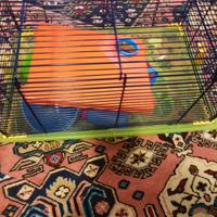 Gabbietta x criceto o simile