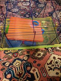 Gabbietta x criceto o simile