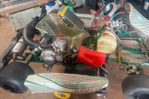 Tony kart 125