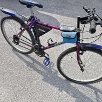 Bicicletta