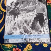 DVD FILM