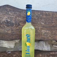 Bottiglie liquori - coppia