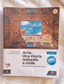 Libro di storia dell'arte