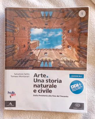 Libro di storia dell'arte