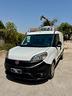 fiat-doblo-frigorifero-fna-x-0-gradi-zanetti-atp-n