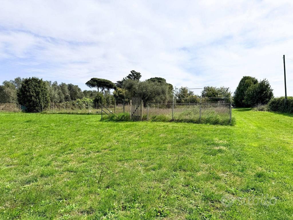 Terreno di 3800 m² a Anguillara Sabazia - Vista 6