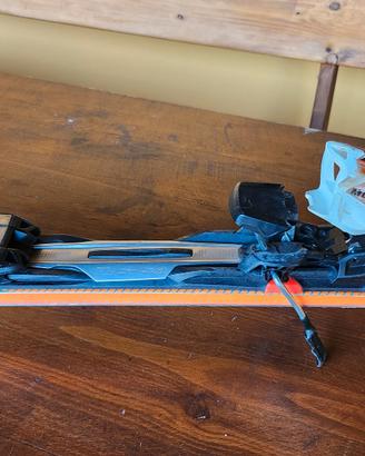 Sci racetiger