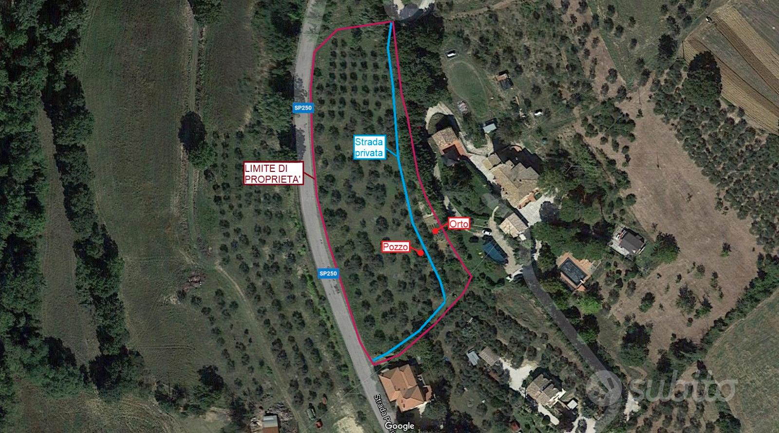 Terreno 7300mq con oliveto - Altro